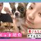 【ペット紹介】中学生モデルの愛犬と愛猫を紹介します! | ニコ☆プチTV