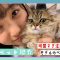 【ペット紹介】中学生モデルの可愛すぎる子猫を紹介| ニコ☆プチTV